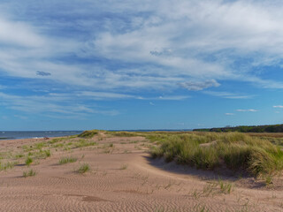 Looking South along the Grass covered Dunes at Tentsmuir Point with sand ripples carved into them by the prevailing winds.