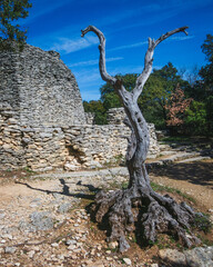 In the open-air museum of Village des Bories