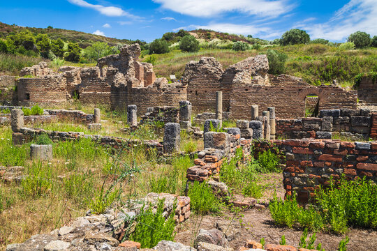 In the ruins of ancient Velia