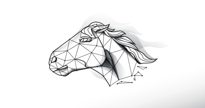 The horse head forms lines and triangles point connecting networks on blue background. Illustration vector