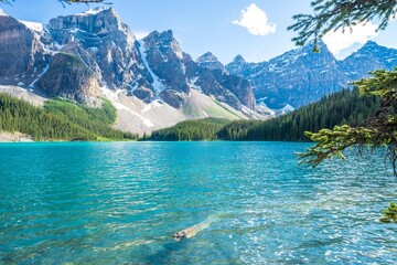 Moraine Lake and driftwood, Rocky Mountains, Banff National Park, Alberta, Canada