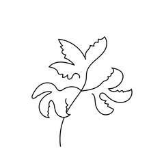 Fototapeta premium abstract leaf single line hand drawn element