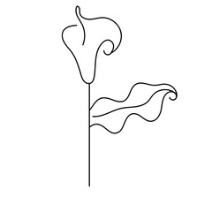 abstract flower single line hand drawn element