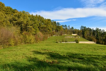 Meadow at Karst plateau in Primorska, Slovenia with a summer forest at the edge - obrazy, fototapety, plakaty