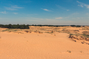 View of the Oleshkiv sands - the Ukrainian desert near the city of Kherson. Ukraine