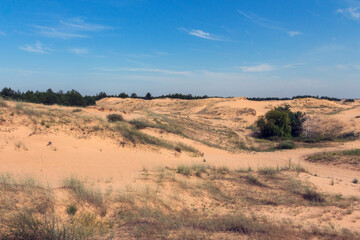 View of the Oleshkiv sands - the Ukrainian desert near the city of Kherson. Ukraine