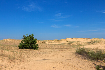 View of the Oleshkiv sands - the Ukrainian desert near the city of Kherson. Ukraine