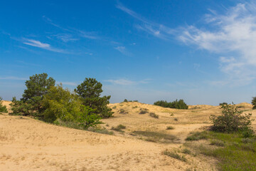 View of the Oleshkiv sands - the Ukrainian desert near the city of Kherson. Ukraine