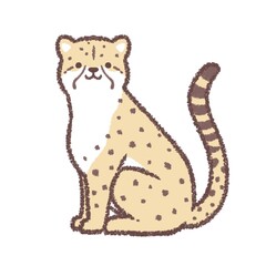 チーター座り姿