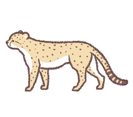 チーター立ち横姿