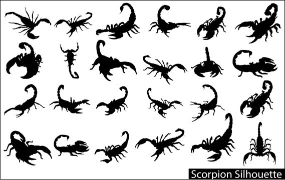 A collection of silhouettes of scorpions