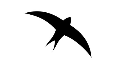 swallow bird vector logo