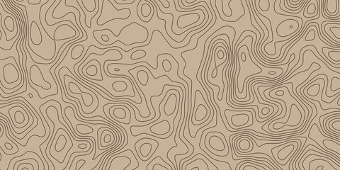 3d Vector Background of the topographic map.Geographic line mountain relief.Topographic contour map background with space for copy.abstract vector illustration with geographic grid.