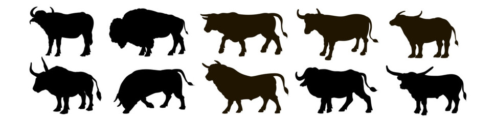 Large wild animal buffalo, black and white image. Vector drawing.