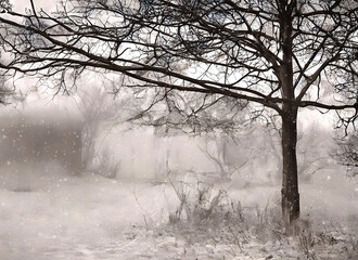 Fototapeta premium Dreamy monochrome image of a leafless tree in the snow in front of a hut blurred in the mist and snowfall, made with generative AI