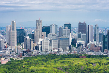 Fototapeta premium 新宿の高層ビル