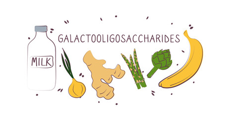 Galactooligosaccharides-containing food. Groups of healthy products containing vitamins and minerals. Set of fruits, vegetables, meats, fish and dairy