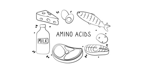 Amino acids-containing food. Groups of healthy products containing vitamins and minerals. Set of fruits, vegetables, meats, fish and dairy