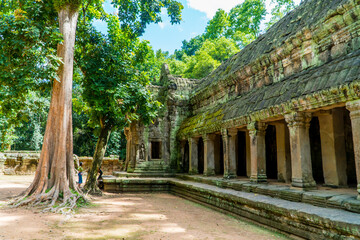 Khmer ruins at Ta Prohm Temple - Angkor Wat, Cambodia