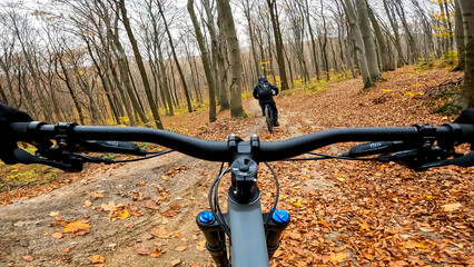 Fototapeta na wymiar Enduro bicycle ride on the forest trails in the autumn season