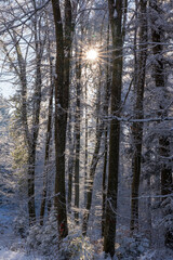 Fototapeta na wymiar Winter auf dem Rußberg bei Tuttlingen