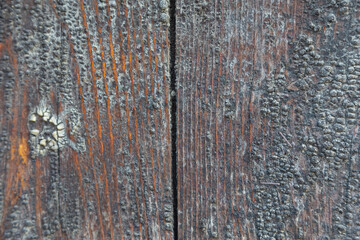Fototapeta premium Old weathered wooden beam with distinctive grain - texture, pattern