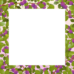 Tree branch frame plum with ripe fruits. Garden plant with edible harvest. Branch with foliage and leaves. Isolated on white background. Vector