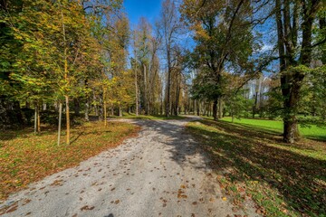 Fototapeta premium autumn in the park