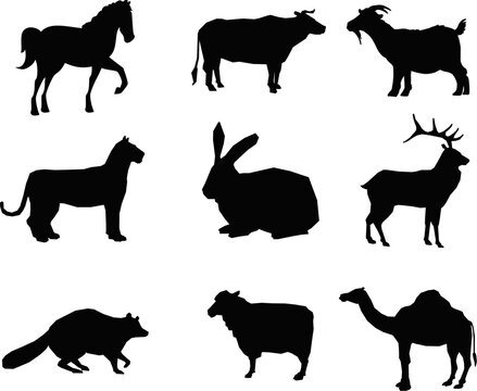 Animals various types isolated vector Silhouette 