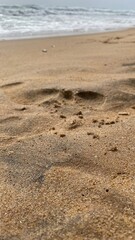footprints on the sand