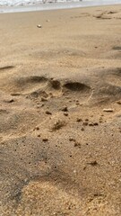 footprints on the sand
