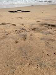footprints on the sand