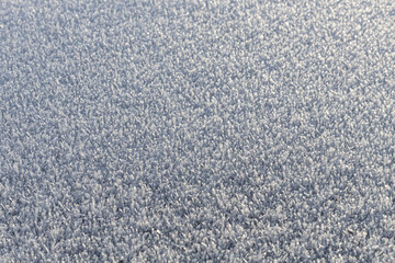 white frost in the winter in the sun
