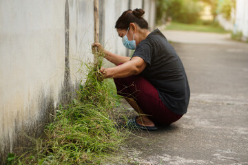 Asian woman spend her free time to get rid of grass weeds beside the path to village. Concept, chore, leisure, pastime activity. Community service.