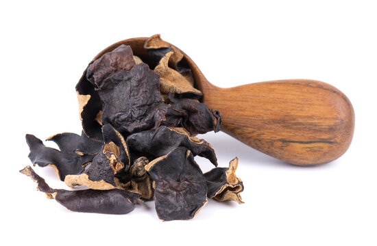Dry black fungus in wooden spoon, isolated on white background. Chinese black mushroom or tree black muer mushroom. Auricularia polytricha.