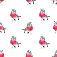 Seamless potter with drawings of multi-colored birds on the white background