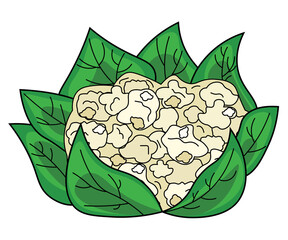 plant vegetable healthy food vegetarianism