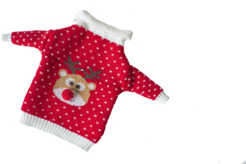 New Year's Christmas red sweater with a funny deer. Isolate on white
