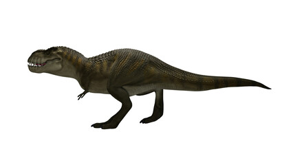 Obraz premium Dinosaur Trex walking on render image