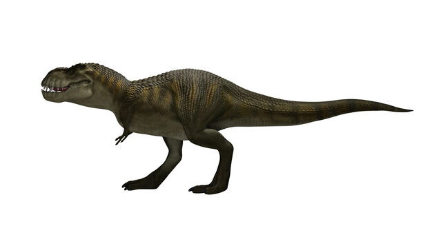 Dinosaur Trex walking on render image