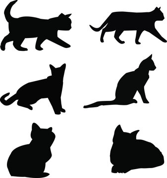 Beautiful cat silhouette vector Art design.