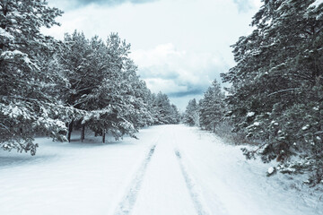Fototapeta premium Winter road through the forest