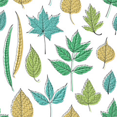 Leaves seamless pattern, vector leaf background