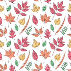 Leaves seamless pattern, leaf background