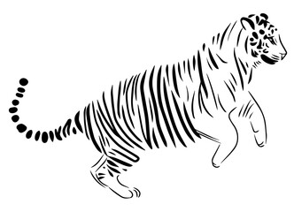 Fototapeta na wymiar Jumping tiger line illustration