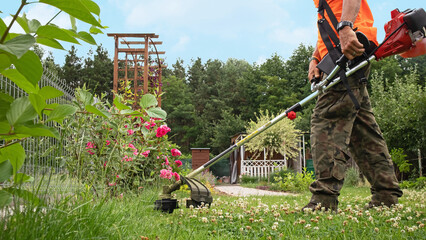 The gardener mows the grass in the garden with a brushcutter
Ogrodnik kosi trawę w ogrodzie kosą spalinową