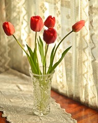 tulips in vase