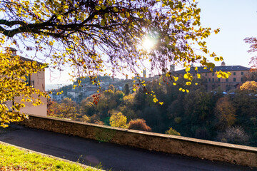 Bergamo old town with autumn colored tree leaves and sun