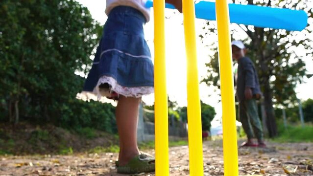 Both boys and girls are playing cricket