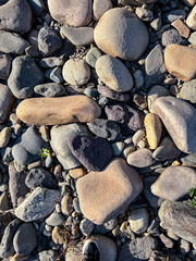 Round sea stones, sunny day. Pebbles on the shore on a sunny summer day.